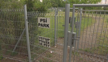 V Mladé Boleslavi řeší falešné cedule. Ohlašují zrušení psího parku