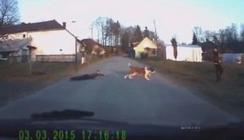 Češi zase dobyli internet. Toto video je HITEM !