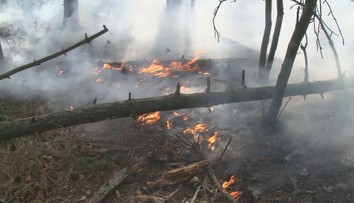 Lesy jsou kvůli vedru jako troud. Hasiči varují před požáry