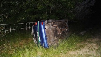 Kvůli dvěma psům se na dálnici zranil motorkář a převrátilo auto