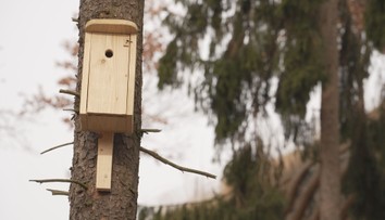 V Plzni se rozhodli pomoci ptákům. Vyrobili pro ně desítky budek