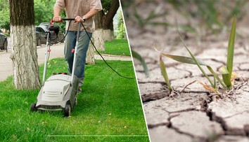 Sekat či nesekat trávu kvůli suchu? Neshodnou se ani odborníci. ANKETA