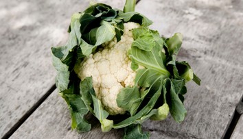 Čerstvý květák obsahoval koktejl pesticidů, odhalila inspekce