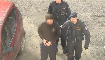 Brutálně ubodal bratry, měli 100 ran! Vrah z Počátek sedět nepůjde