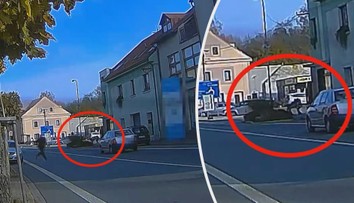 Pes na Rychnovsku zuřivě útočil na hocha, policie zveřejnila drsné video