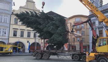 Města a obce zdobí první vánoční stromy. Pochlubte se tím vaším!