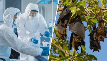 Epidemie eboly se vymkla kontrole. Vědec odhalil, co k tomu vedlo