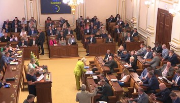 Politici se shodli na dětském certifikátu. Delikventi nebudou smět pracovat s dětmi