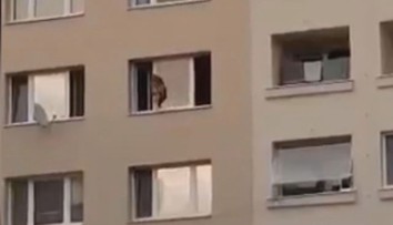 Holčička po parapetu v 7. patře neprošla poprvé, tvrdí sousedi. Promluvila i matka