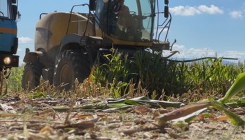 Zemědělský stroj nasál a zabil muže na kukuřičném poli. Nejspíš sbíral kukuřici