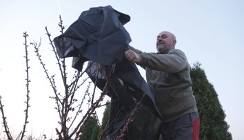 Česko zasáhly mrazíky. Zahrádkáři bojují o přežití ovocných stromů