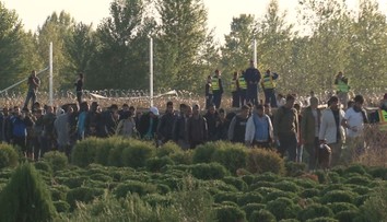 Německo chce vyrazit do boje s migrací. Omezí počty schválených žádostí o azyl