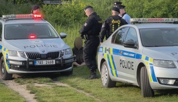 V pražské Divoké Šárce řádil útočník. Muž měl železnou tyčí zranit dva lidi