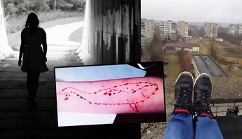 Nebezpečí Modré velryby: Policie za jeden den přijala 22 oznámení