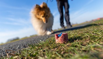 Otrávené rybí návnady v Říčanech! Hlídejte si psy i děti, vyzývá radnice