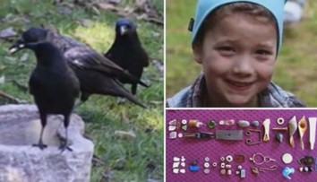 Jako Popelka: Gábinka (8) krmí vrány, ty jí za to nosí dárky! VIDEO