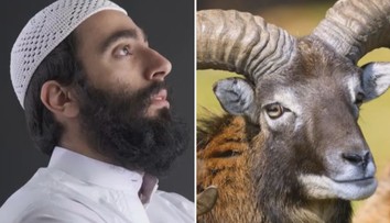 Úsměvný omyl na tísňové lince. Trefil řidič muflona, nebo muslima?!