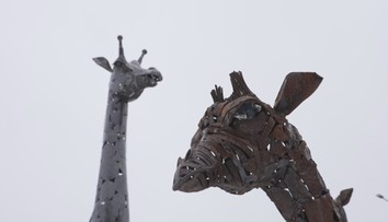 Ve Starém Městě mají unikátní zoo. Zvířata jsou výhradně ze železa