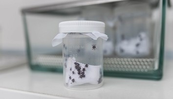 Průlom v léčbě boreliózy. Čeští vědci mají účinnou vakcínu na dosah