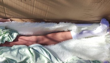 Myslel si, že v lese našel ženské tělo bez hlavy. Obsah krabice policisty překvapil