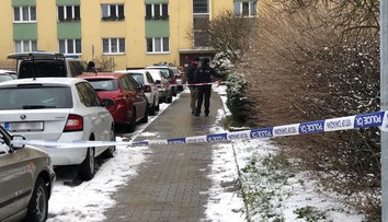Pošťačka dostala šroubovákem do obličeje, pachatel se dal na útěk