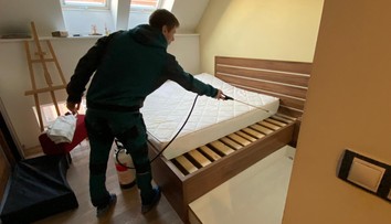 Hubení štěnic: Jak se dostanou k vám do bytu?