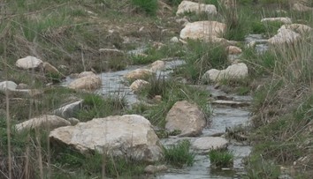 Přibývá projektů pomáhajících přírodě zvládat sucho. Jeden je u Tábora