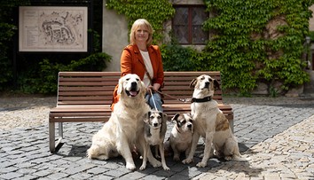 Nechcete v budoucnu přežívat, ale žít? Investujte!