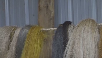 Exportní hit Afriky? Paruky z banánových slupek si chválí kadeřníci i klienti