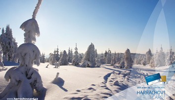 SPORTOVNÍ AREÁL HARRACHOV