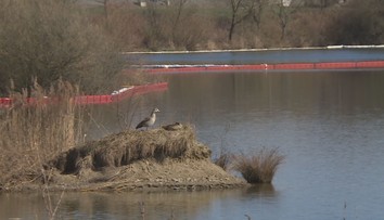 Vláda prodloužila stav nebezpečí v Hustopečích. Sanace půdy potrvá půl roku