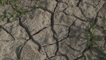 Extrémnímu suchu v Česku odzvonilo. Vláha navíc likviduje kůrovce