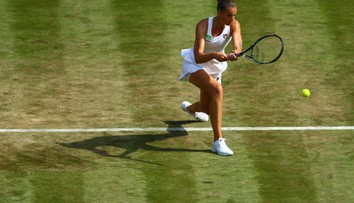 PROGRAM VYSÍLÁNÍ: V akci české tenistky ale i Roger Federer!