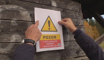 Na Jablonecku jdou do akce odstřelovači. Budou likvidovat divoká prasata