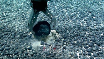 Všechno je jinak. Klíč k přežití lidstva je na dně oceánu, zjistili vědci