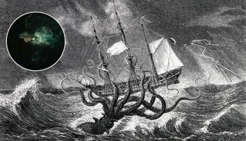 Záhada u antarktického pobřeží: Je to kraken, tvrdí lovci senzací