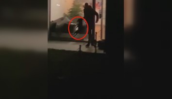 Muž z Prahy brutálně mlátil štěně, házel s ním i o zem! Řeší to policie