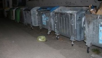 Nepochopitelný čin. Do popelnice někdo vyhodil igelitku s koťátky, obě zemřela