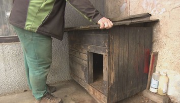Poprava psa v Kameni: Starosta, který odstřel nařídil, k soudu nepůjde