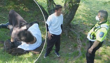 Muž se ukájel ve veřejném parku, strážníci ho chytili "v nejlepším"