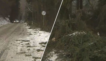 Hasiči kvůli počasí hlásili čtyřnásobný počet zásahů, vichr se má brzy vrátit!