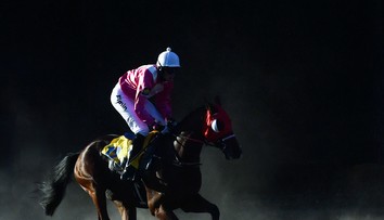 Nelítostná pardubická: Pro tyto koně se v posledních letech stala osudnou