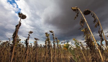 Problém se srážkami je vážný. Něco takového meteorologové nepamatují