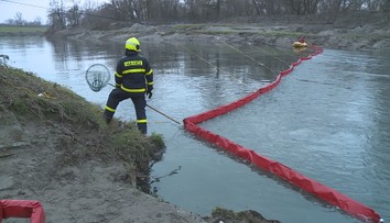 Za masivním úhynem ryb v Odře může být nedbalost. Vyšetřování pokračuje