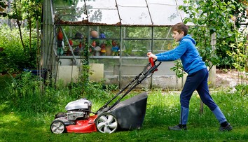 Trávník roste i v listopadu. Zahrádkáři řeší, jestli ho ještě sekat, či nechat růst