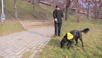 Tomášovi s epilepsií pomáhá asistenční pes. Pojišťovna na ně nepřispívá