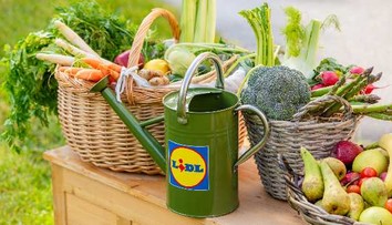 Lidl po celé republice otevírá jedlé školní zahrady