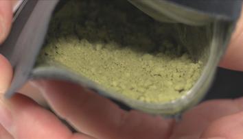 Regulace kratomu měla přijít už před lety. Vyhnuli bychom se dnešnímu problému, říká odborník