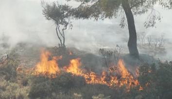 Evropa hledá obranu proti požárům. Odborníci varují před další hrozbou