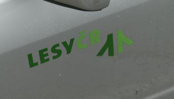 Policie obvinila exředitele Lesů ČR z podvodu. Škoda je téměř dvě miliardy